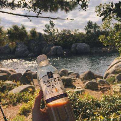 米乐m6下载罗纳尔迪尼奥