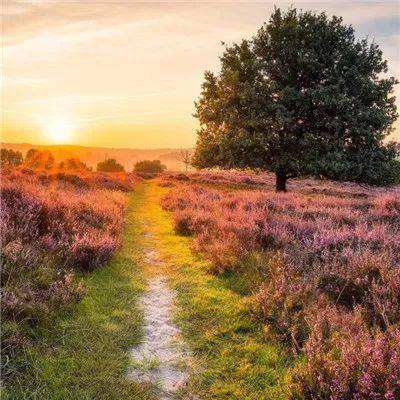 安博体育的最新版本app下载截图