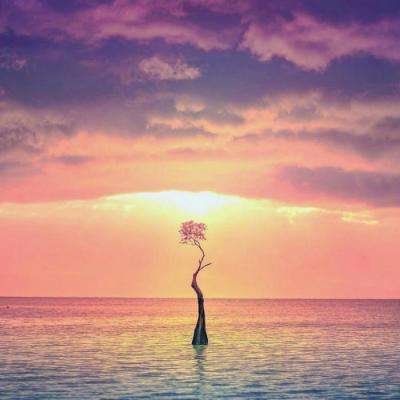 爱体育官方app截图